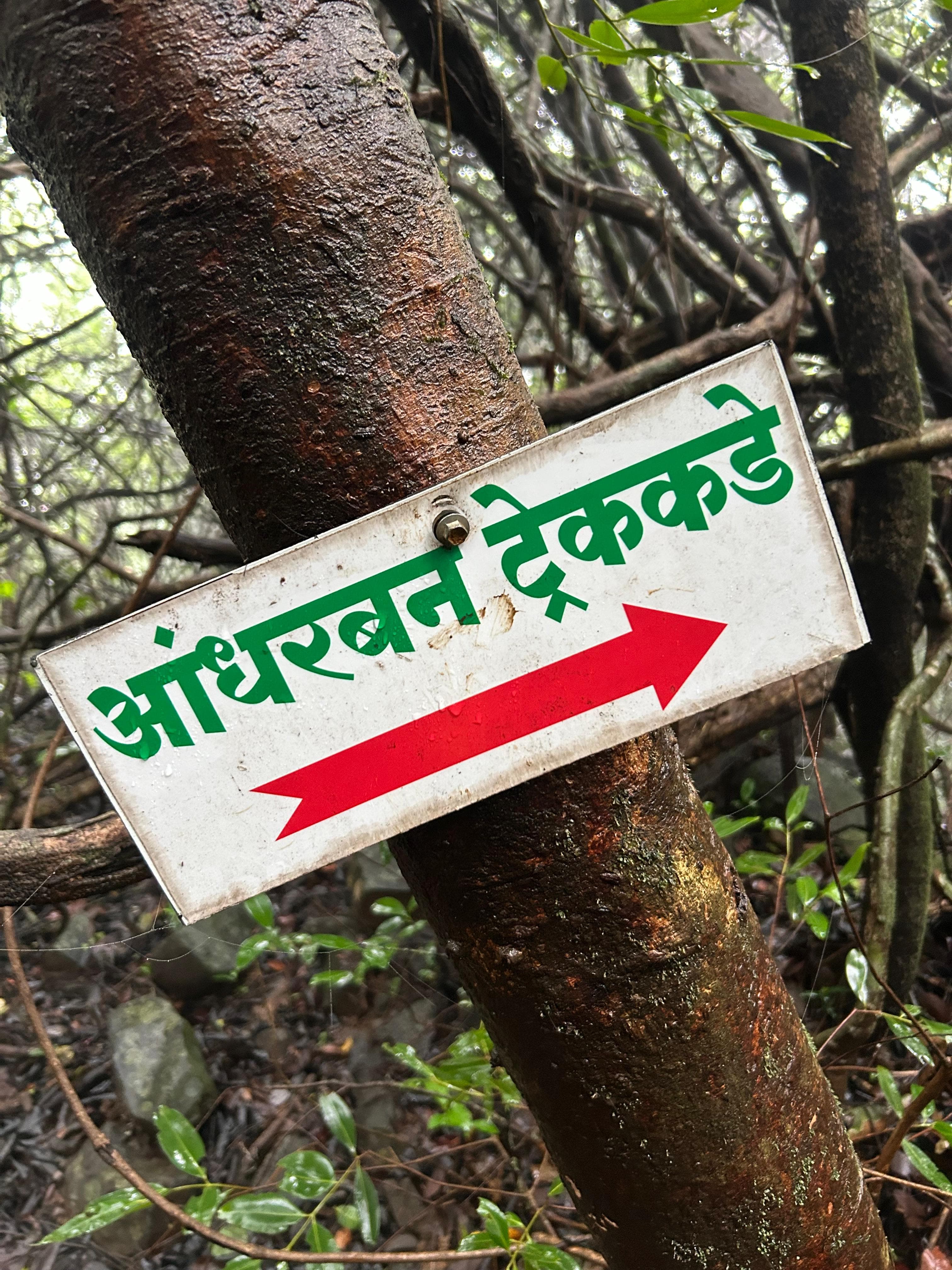 Andharban Jungle Trek — expedition photo 7